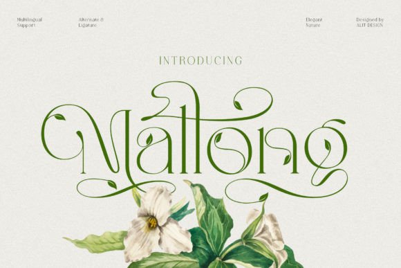Mallong Font: Where Nature Meets Elegant Typography